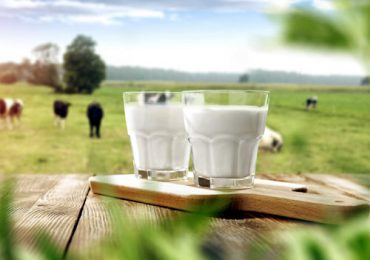 6 câu hỏi thường gặp khi uống sữa bạn nên biết